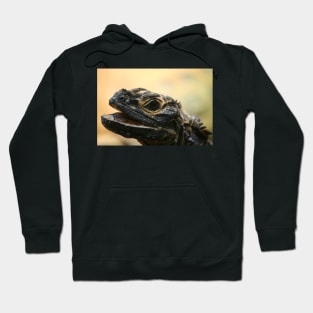 Philippine Sail-Finned Water Dragon Hoodie